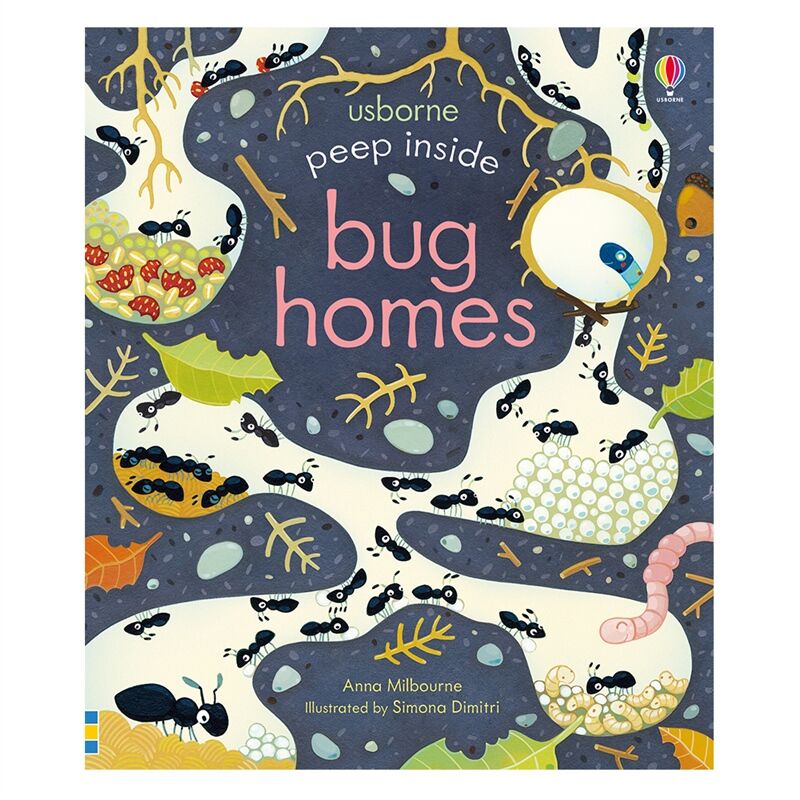 Peep Inside Bug Homes
