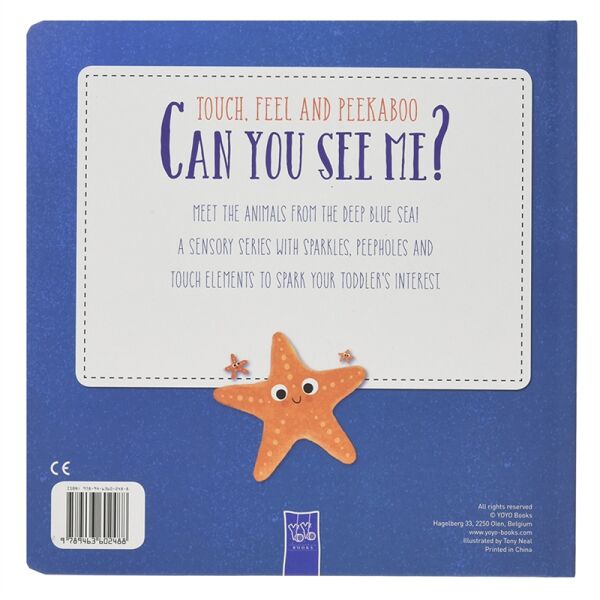 Can You See Me  Ocean