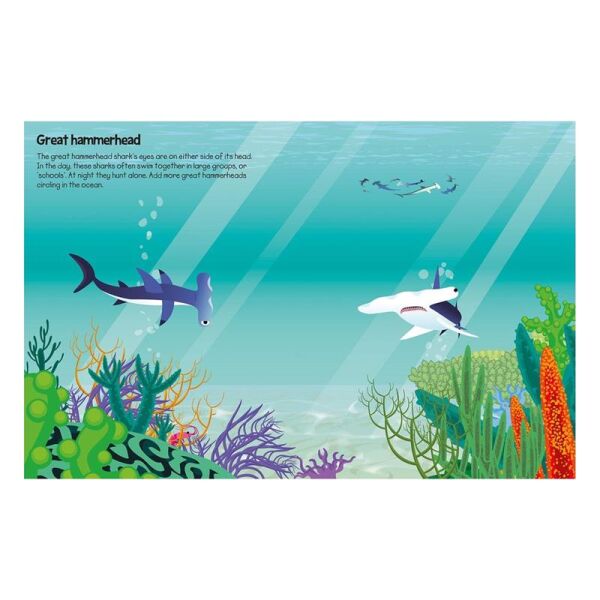 555 Sticker Fun - Sharks