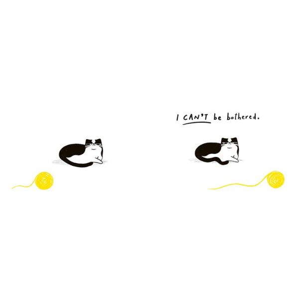 The Cat Who Couldnt Be Bothered