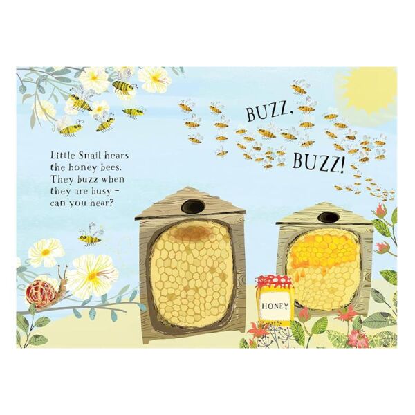 Little Snail s Book Of Bugs
