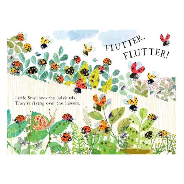 Little Snail s Book Of Bugs