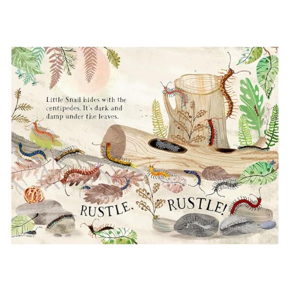 Little Snail s Book Of Bugs