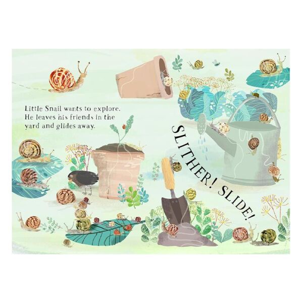 Little Snail s Book Of Bugs
