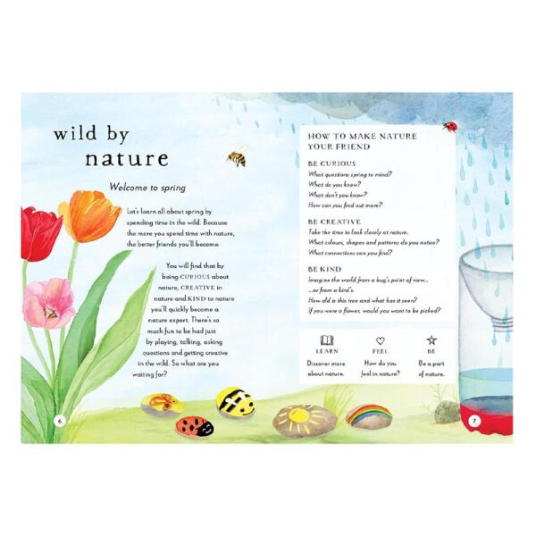 A Field Guide To Spring