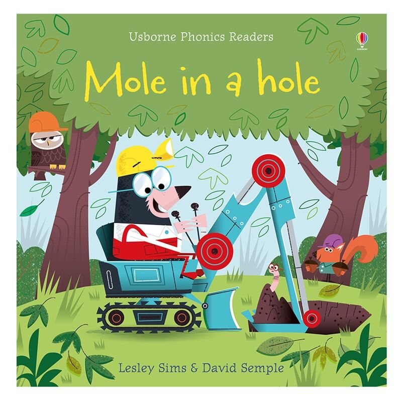 Mole In A Hole - Usborne Phonics Readers