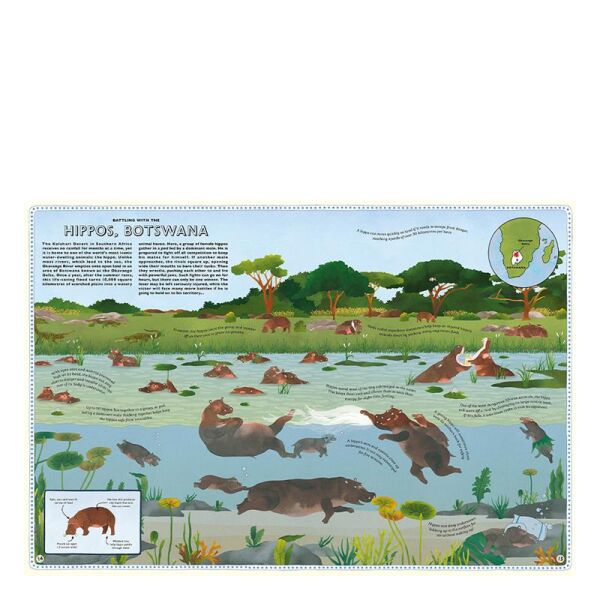 Atlas Of Animal Adventures