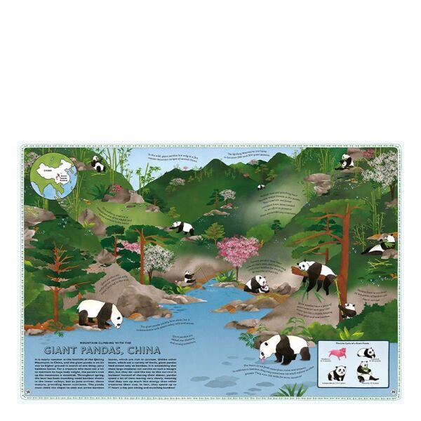 Atlas Of Animal Adventures