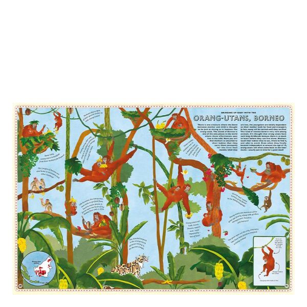 Atlas Of Animal Adventures