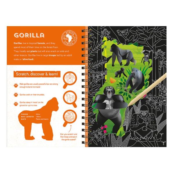 Animals - Scratch Discover And Learn