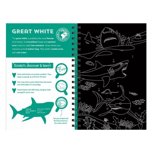 Sharks - Scratch Discover And Learn