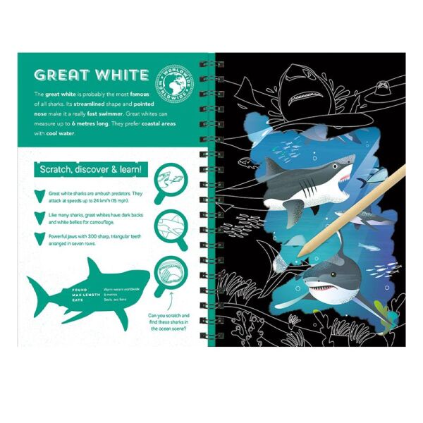 Sharks - Scratch Discover And Learn