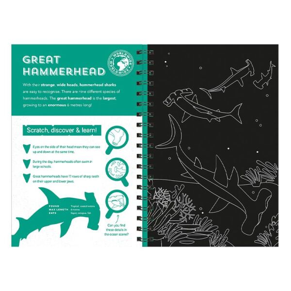 Sharks - Scratch Discover And Learn