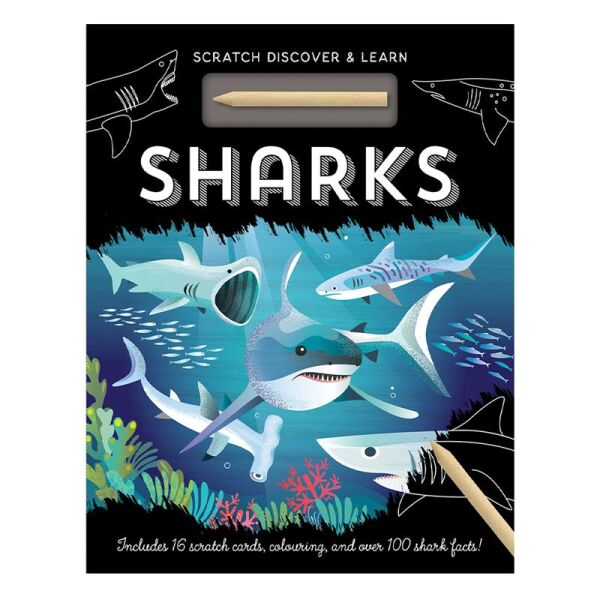 Sharks - Scratch Discover And Learn