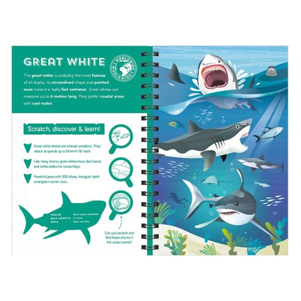 Sharks - Scratch Discover And Learn