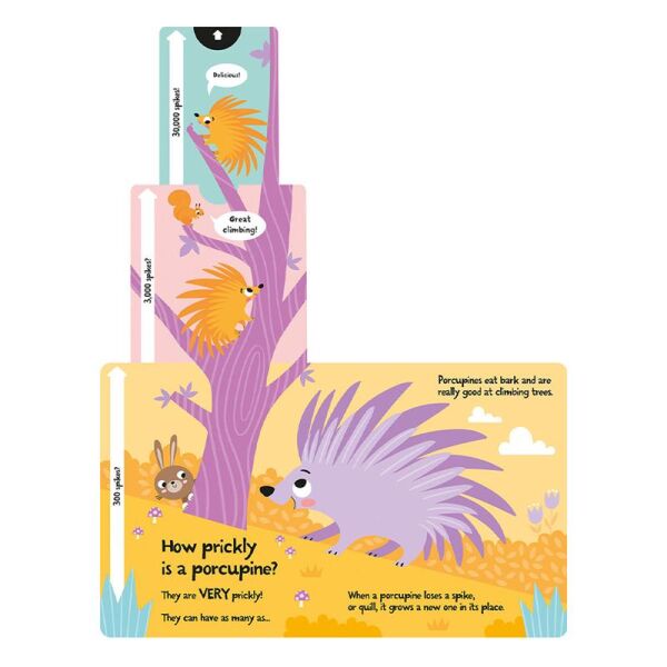 How Big Is A Bear - Board Book