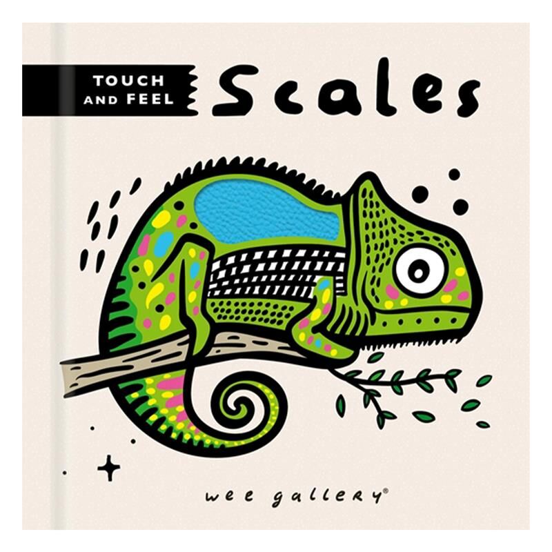 Touch And Feel Scales
