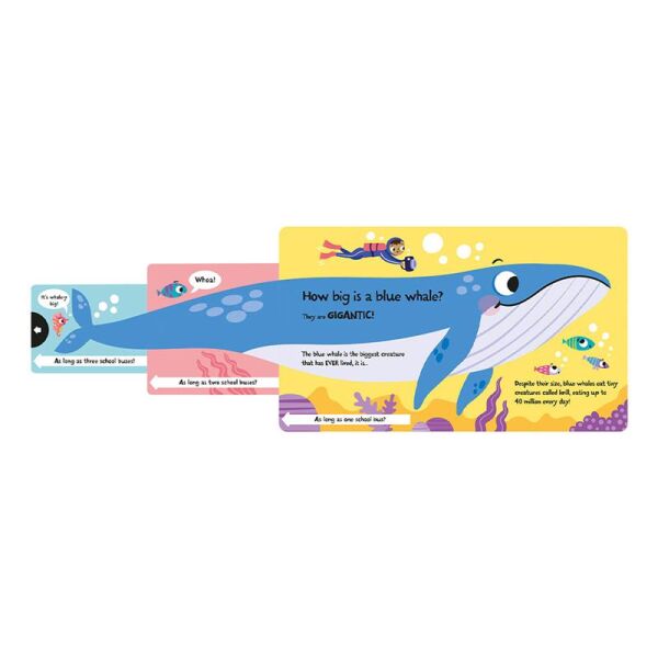 How Wide Is A Whale - Board Book