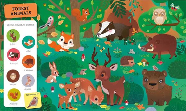 Search And Find Animals