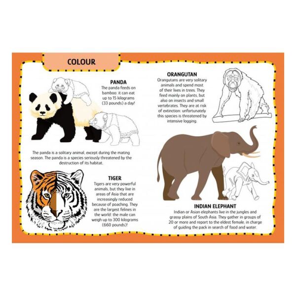 My First Activities Arts And Crafts - Animals