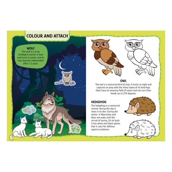 My First Activities Arts And Crafts - Animals