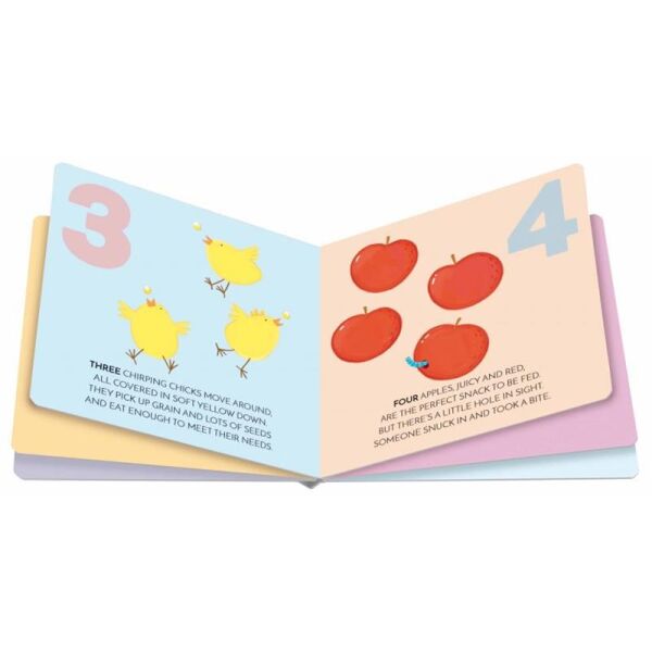 Sayı Küpü - Ahşap Oyunlar ve Kitap