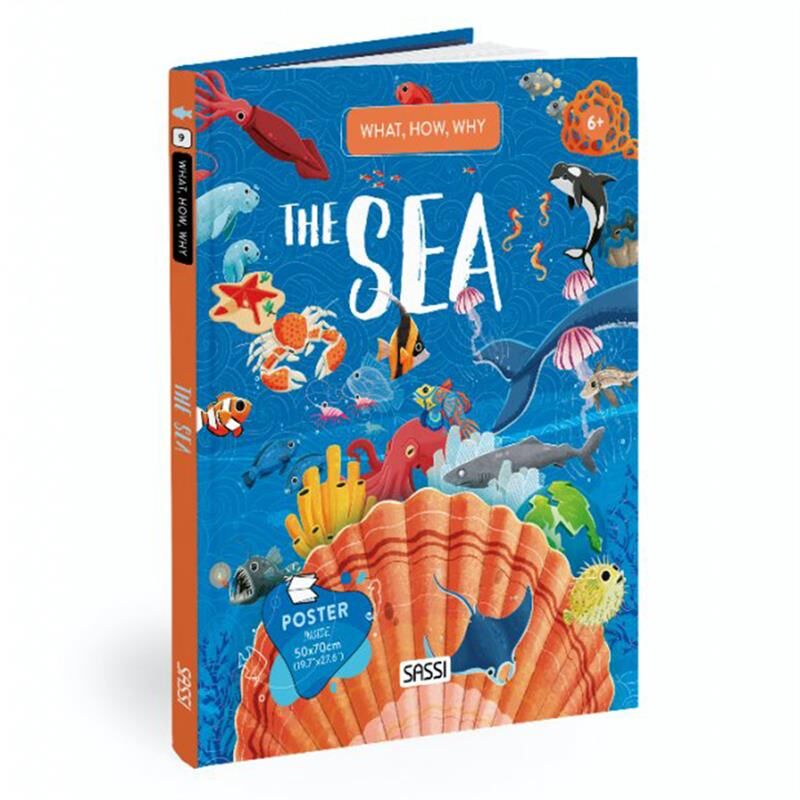 What- How- Why - The Sea