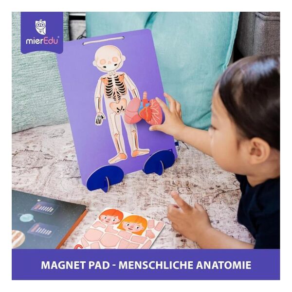 Manyetik Tablet - İnsan Anatomisi
