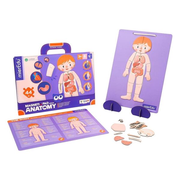Manyetik Tablet - İnsan Anatomisi