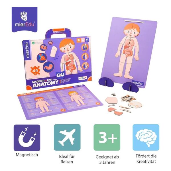 Manyetik Tablet - İnsan Anatomisi