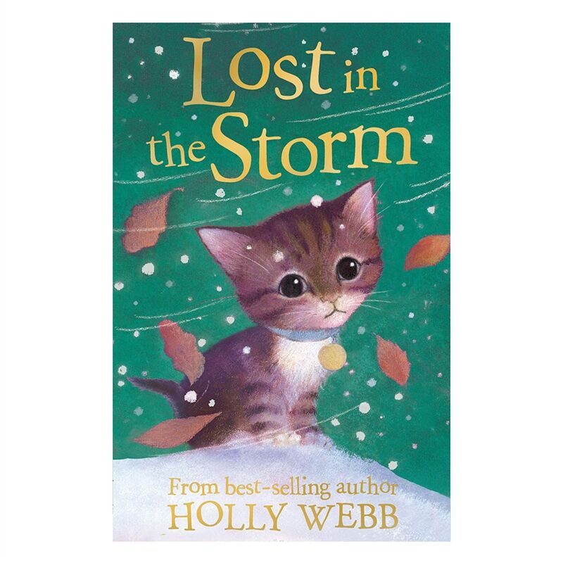 LOST IN STORM