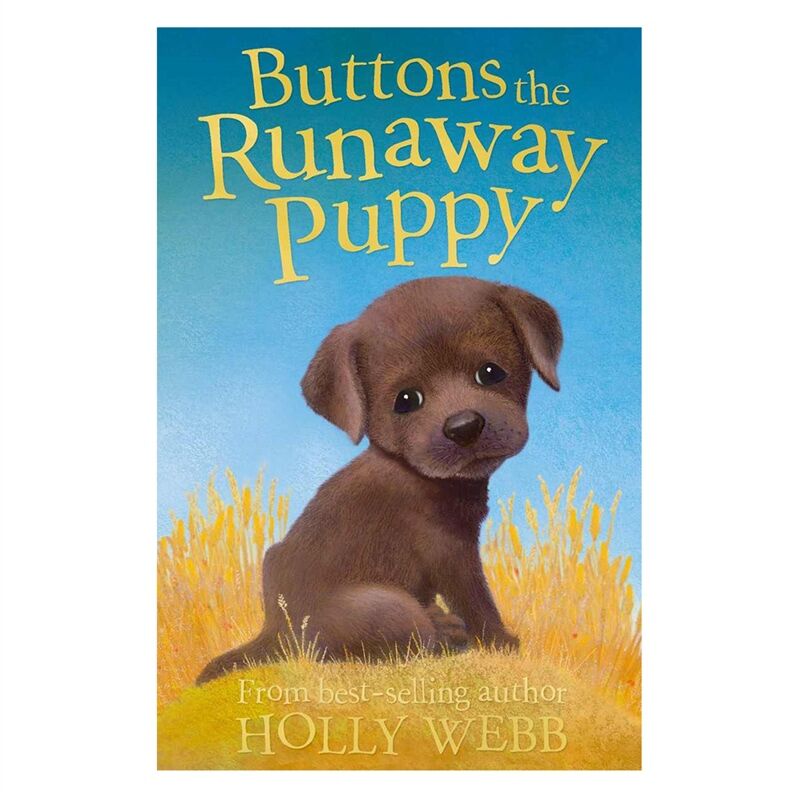 Buttons The Runaway Puppy - Animal Stories