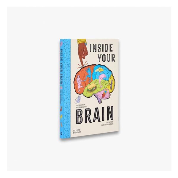 Inside Your Brain