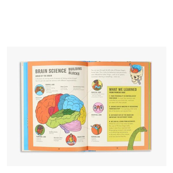 Inside Your Brain