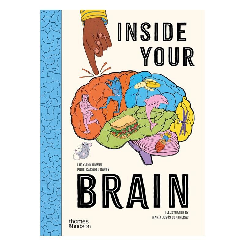 Inside Your Brain