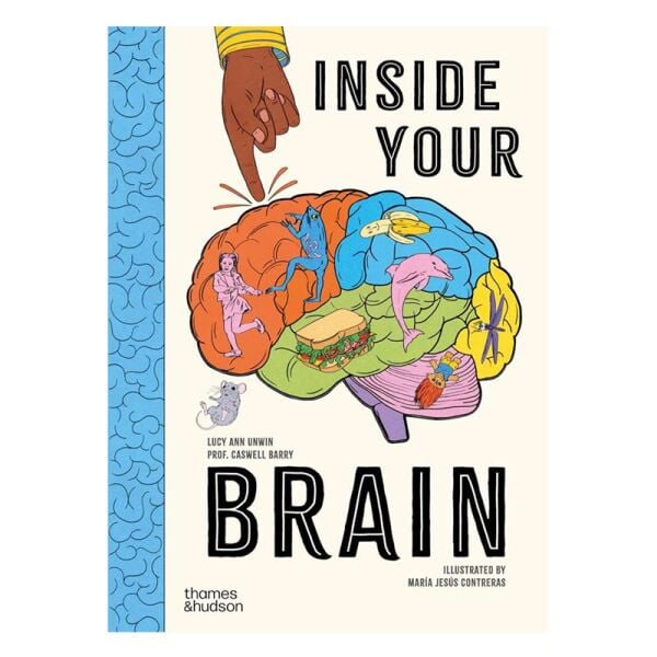 Inside Your Brain