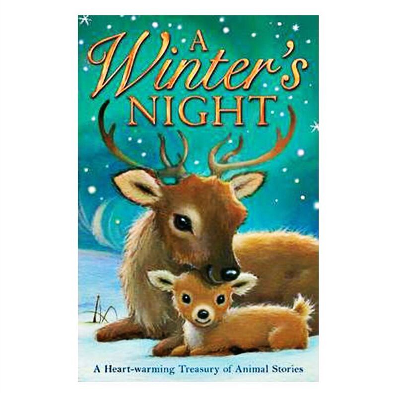 Winter S Night