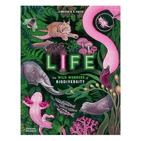 Life