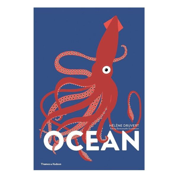 Ocean