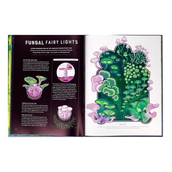 Glow - The Wild Wonders of Bioluminescence