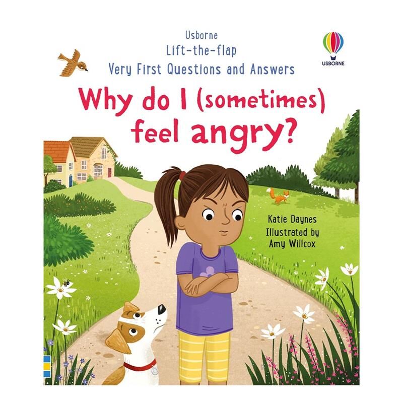 Why Do I (Sometimes) Feel Angry