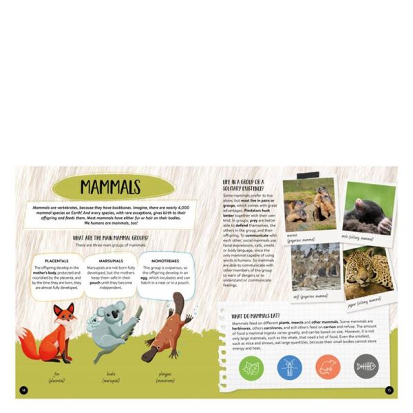 What- How- Why - Animals