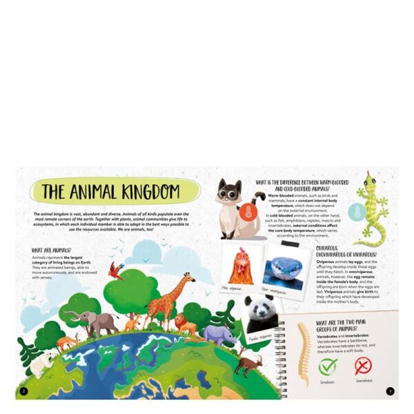 What- How- Why - Animals