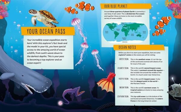 My Incredible Ocean Expedition