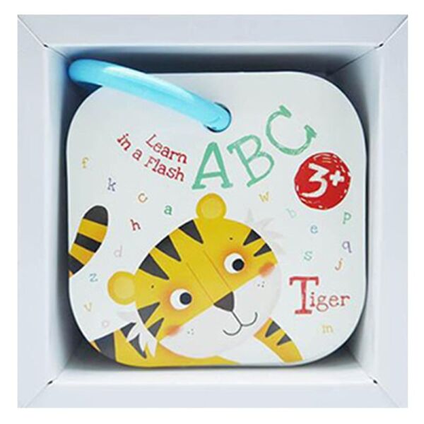 Abc Learn In A Flash